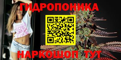 крисы Нягань