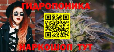 Альфа ПВП Обнинск